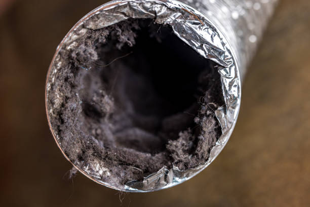 Emergency Air Duct Cleaning in Broadview Park, FL